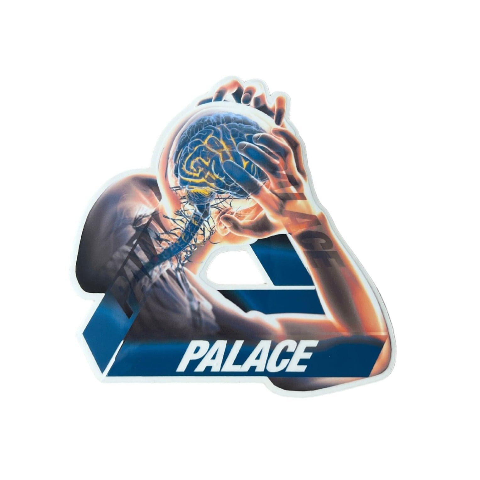 Palace Tri-Gain Tri-Ferg Sticker