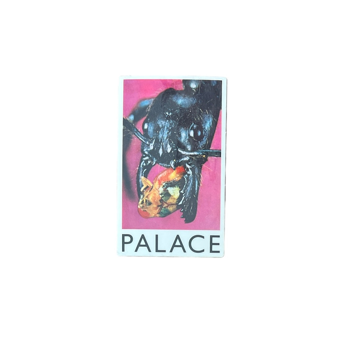 Palace Big Munch Sticker