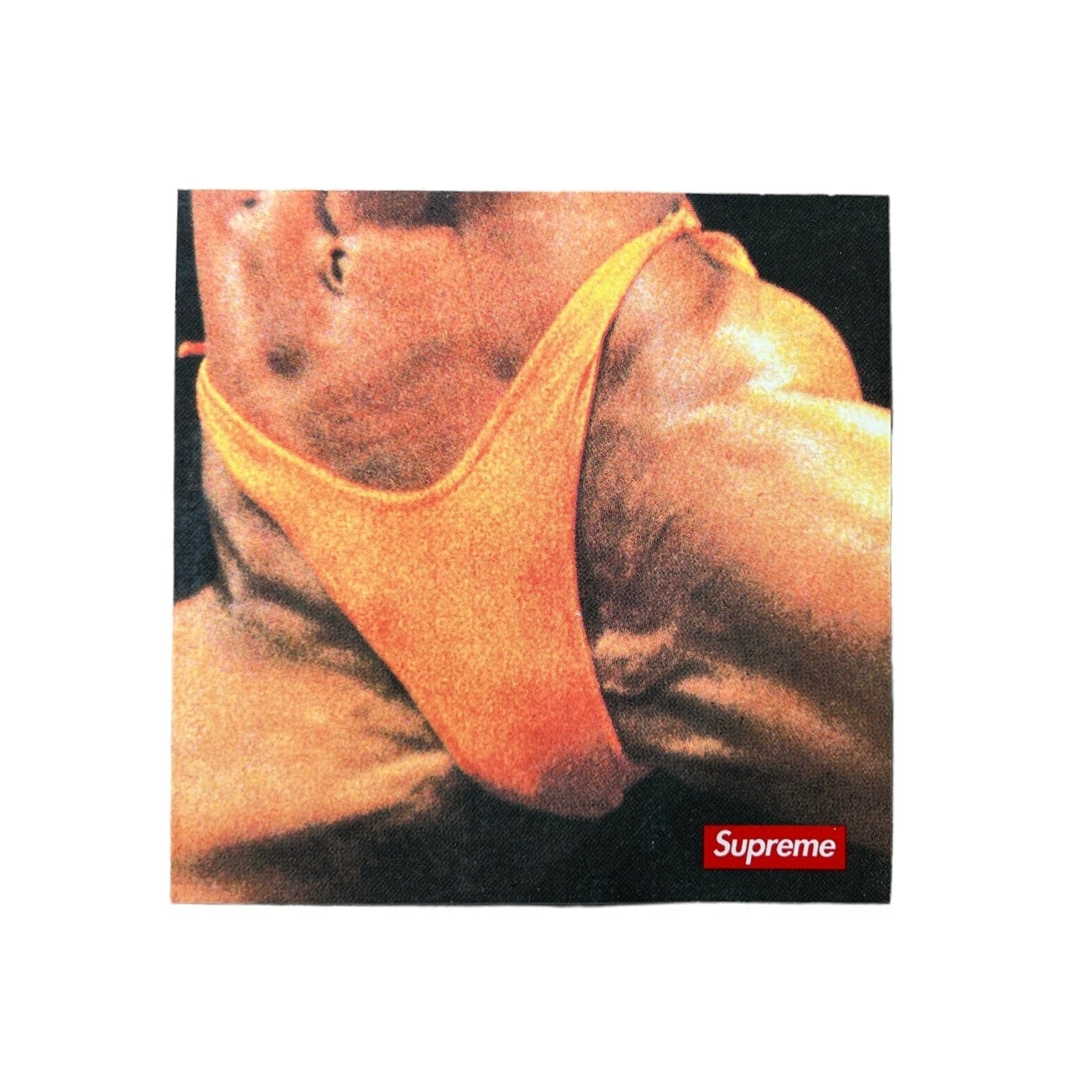 Supreme Butthole Surfers Rembrandt Pussyhorse Sticker SS21