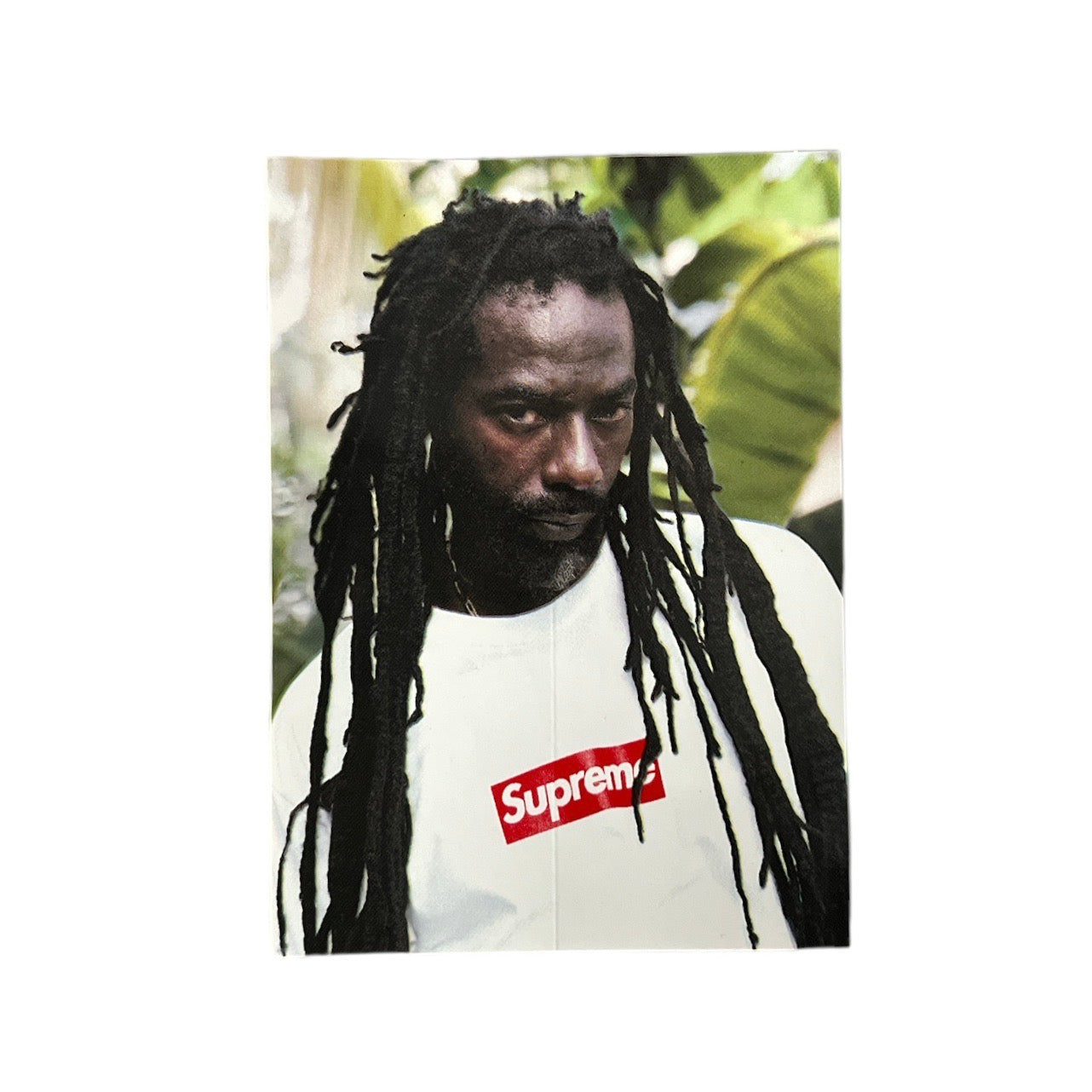 Supreme Buju Sticker SS19