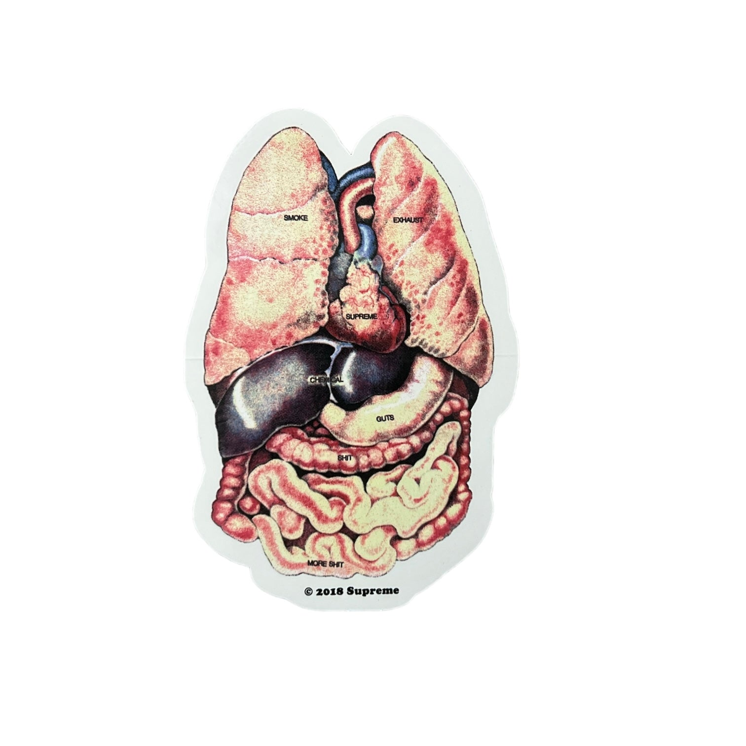 Supreme Guts Organs Sticker FW18 